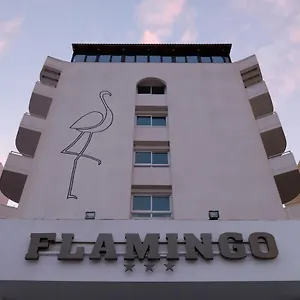 Flamingo *** לרנקה